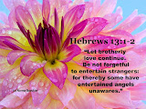 Hebrews - Daily Verses - Chapter 13