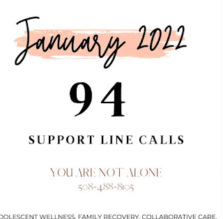 The SAFE Coalition Hotline answered 94 calls for help in January 2022