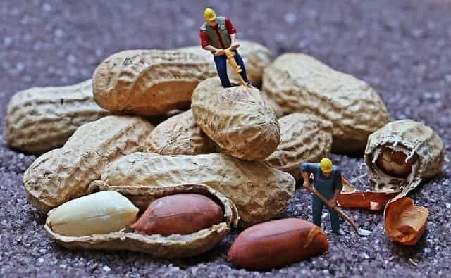 What Are The Hot Peanuts Benefits For Health | Peanuts Nutrition |