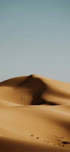 Dune Wallpaper for Phone