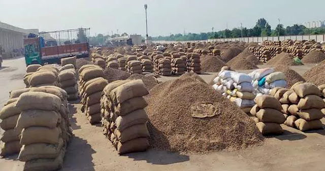 real time commodity market news of peanut income bursting in Saurashtra Gondal Market yard peanut price likely to fall