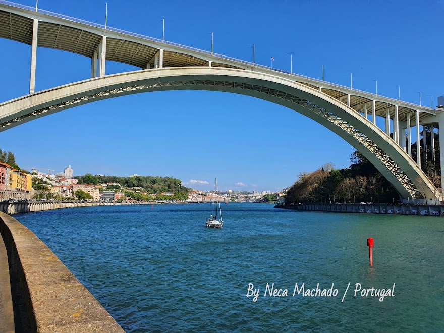 #PORTUGAL BY NECA MACHADO