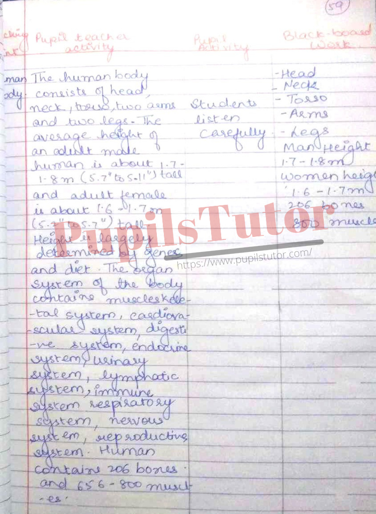 Class/Grade 8 To 11 Home Science Lesson Plan On Functions Of Liver For CBSE NCERT KVS School And University College Teachers – (Page And Image Number 3) – www.pupilstutor.com