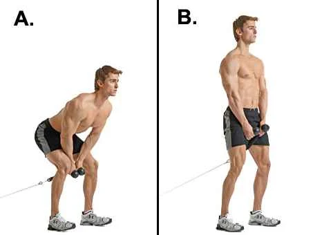 Cable Pull Through For Glute Exercise