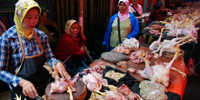 Giliran Pedagang Ayam Broiler Teriak Merugi Akibat Terdampak Covid-19