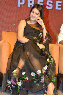 Actress Nidhhi Agerwal stills at Hero movie press meet