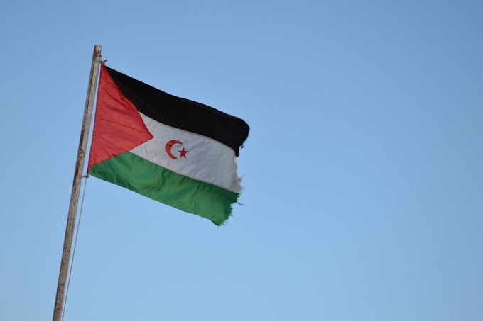 Las potencias africanas se posicionan del lado de los saharauis y exigen al enviado de la ONU al Sáhara Occidental coordinarse con la Unión Africana.