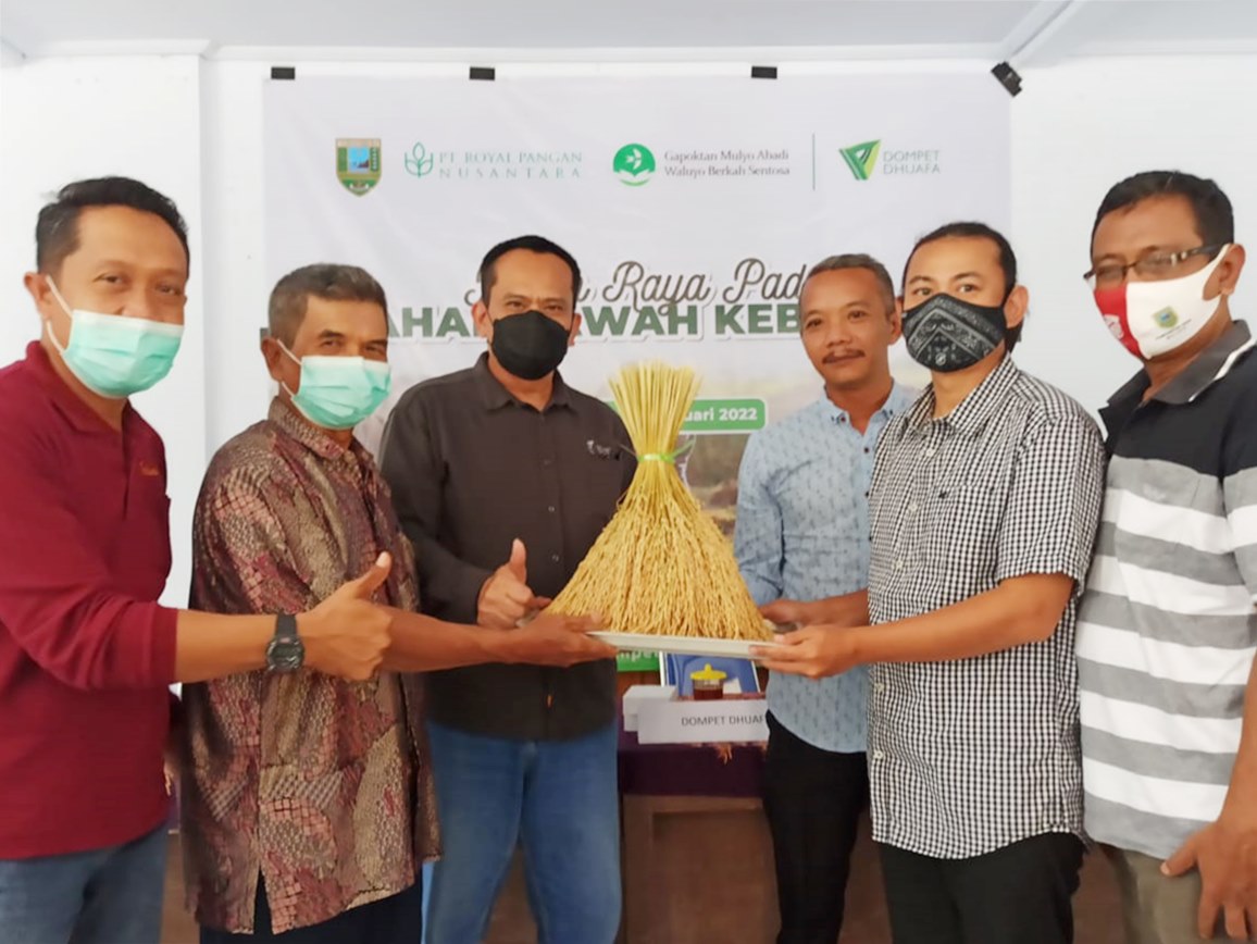 Petani Kebumen Panen Raya Padi yang Dibiayai Dana Zakat Dompet Dhuafa