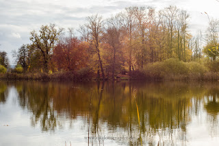 Naturfotografie Schwielowsee Havel Schloss Petzow