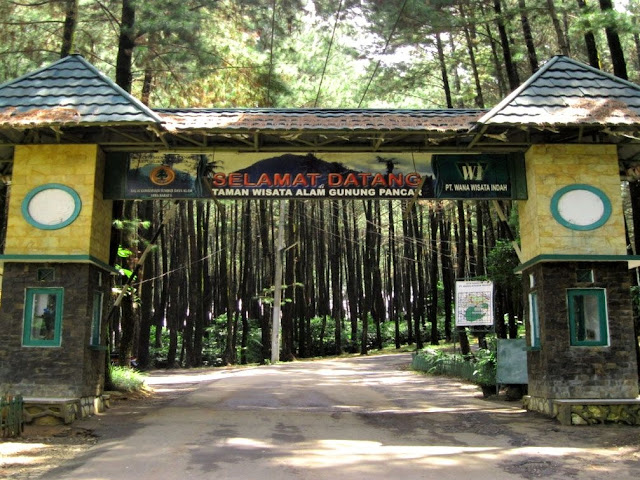 5 Tempat Wisata Alam di Bogor dengan Panorama Pegunungan