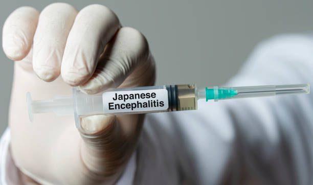 Austrália eleva alerta de vírus da encefalite japonesa