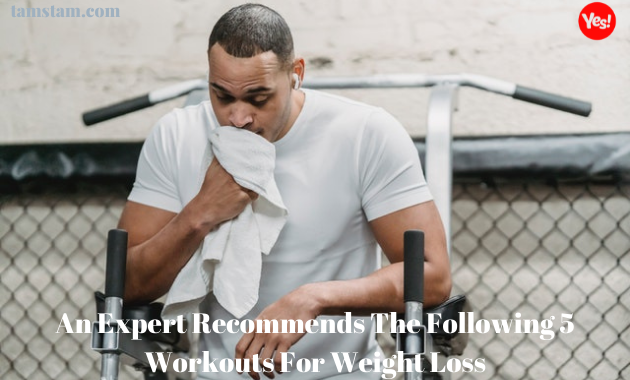 An Expert Recommends The Following 5 Workouts For Weight Loss, weight loss programs, weight loss surgery, weight loss, weight loss pills, weight loss supplements, weight loss coffee, weight loss clinic, weight loss clinic near me, exercises for weight loss and toning, exercises for weight loss, exercises for weight loss with bad knees, exercises for weight loss at home, exercises for weight loss for beginners, exercises for weight loss at gym, exercises for weight loss, exercises for weight loss in stomach, exercises for weight loss with bad knees