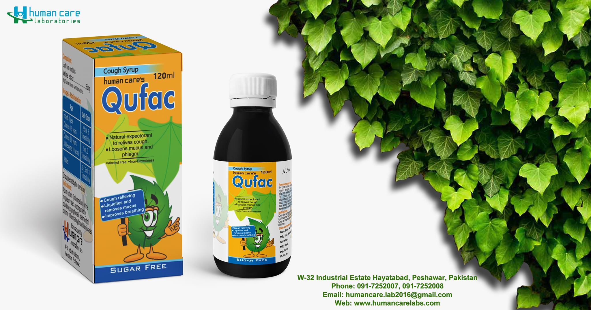 Qufac by HCL with centuries tested Ivy Leaves as core ingredient.