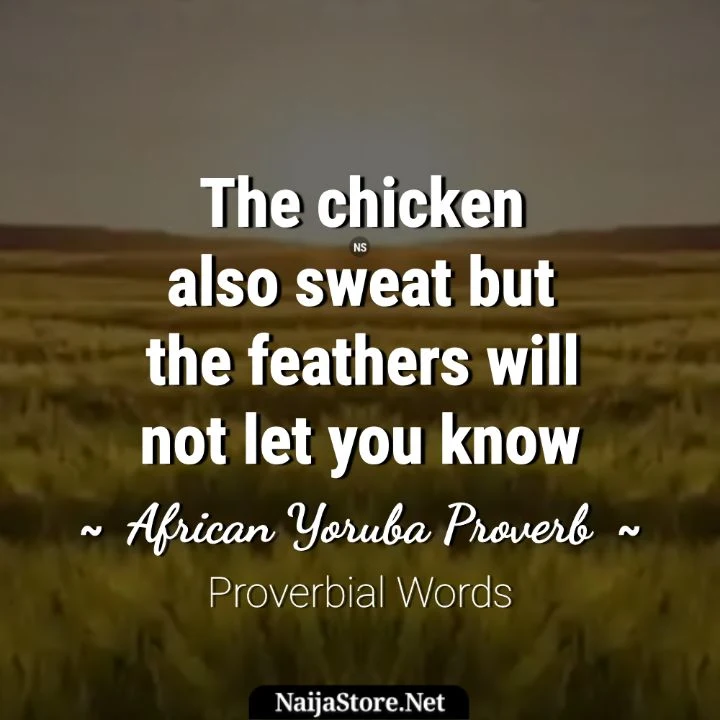 African Proverb: The chicken also sweat but the feathers will not let you know - Proverbial Yoruba Quote