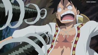 ワンピースアニメ WCI編 799話 ルフィ かっこいい Monkey D. Luffy  | ONE PIECE Episode 799