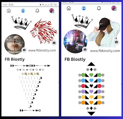 Facebook VIP Account Bio Stylish