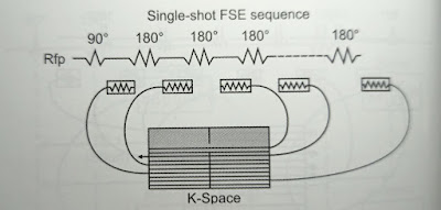 Classification and basic principles of MRI sequence I