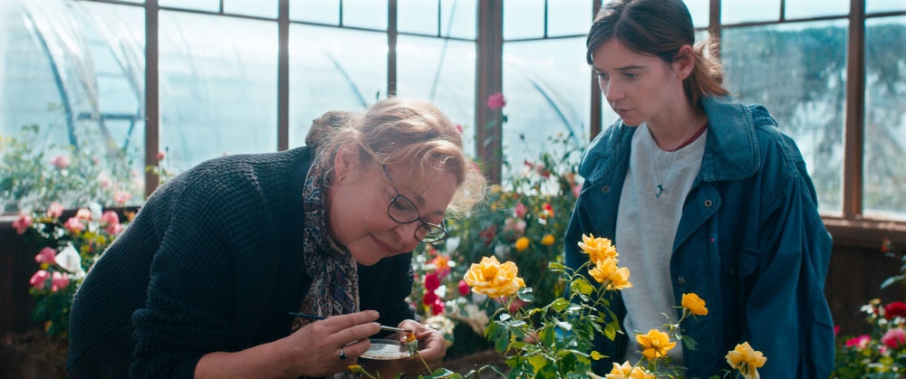 "Entre Rosas" mujer hibridando rosas