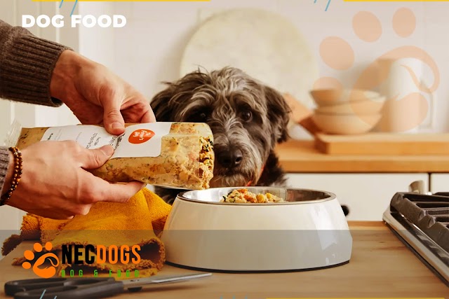 Best Dog Food - 4 Proven secrets Methods to Find the Perfect Food For Your Dog