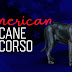 How Much Is a Cane Corso
