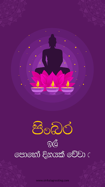 il Poya day - පිංබර ඉල් පොහෝ දිනයක් වේවා !