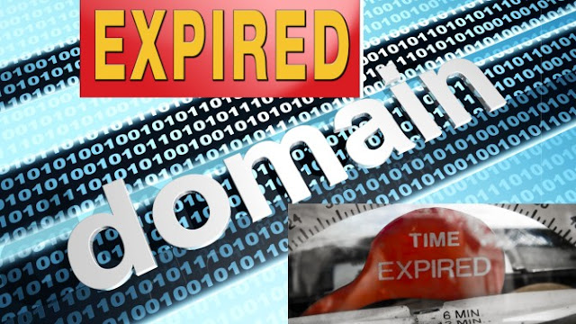 important things to keep in mind when buying an expired domain
