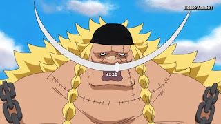 ワンピースアニメ 890話 | ONE PIECE エドワード・ウィーブル Edward Weevil