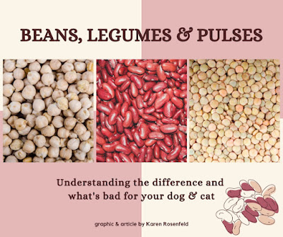 Beans, Legumes and Pulses, Understanding the Difference and What's Bad for your Dog and Cat