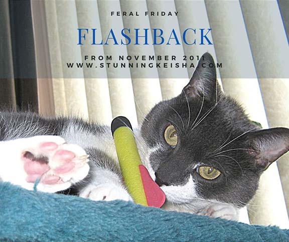 Feral Friday: Flashback With Rockets