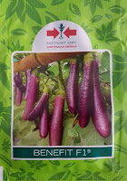 jual harga benih, terong ungu, pohon terong, benefit f1, benih Panah merah, manfaat terong, toko pertanian, toko online, lmga agro