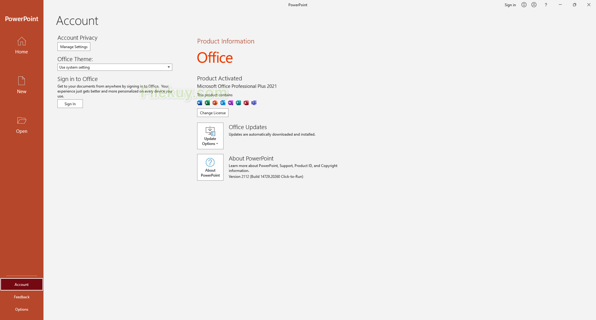 Microsoft Office Professional Plus 2021 Retail