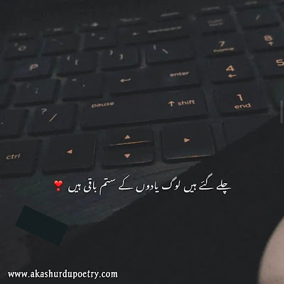 Unique Urdu Captions For Instagram 2022