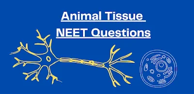 Animal Tissue NEET Questions