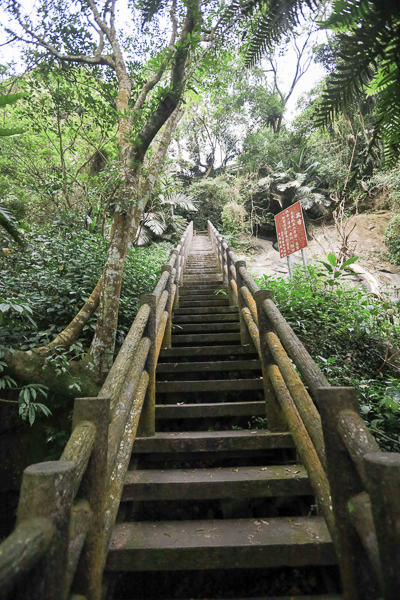 嘉義梅山仙人堀步道秘境，杉林木棧道輕鬆散步聽蟲鳴鳥叫水流聲