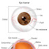 Eye cancer