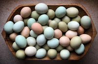 Mapuche Eggs
