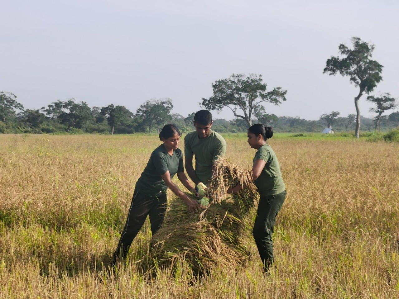 kandakadu army organic farm