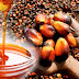 10 AMAZING BENEFITS OF PALM KERNEL OIL.