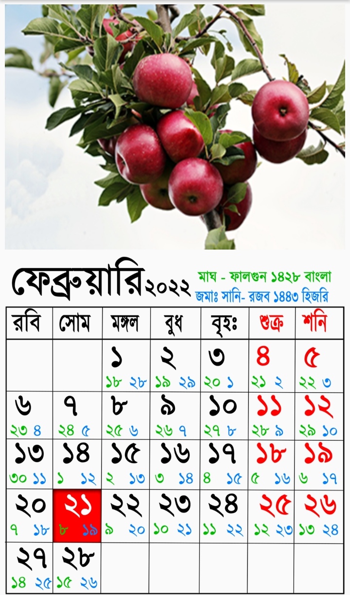 বাংলা ইংরেজি আরবি ক্যালেন্ডার ২০২২ | Bangla English Arabi Calendar 2022