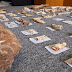 Λέσβος: Απολιθωμένα οστά ηλικίας 2 εκατ. ετών φέρνουν στο φως ένα σύγχρονο “Jurassic Park”