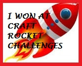 Craft Rocket Winner for challenge 103 for the boys