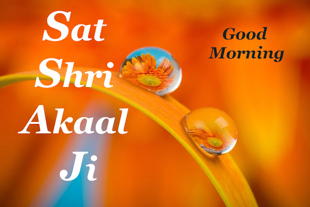 Sat Shri Akaal Ji  Good Morning