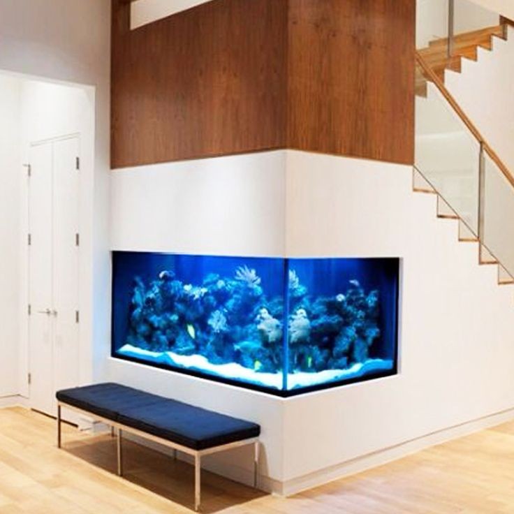 Aquário na decoração de casa, Dicas para ter um aquário na decoração de casa, aquarismo