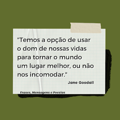 Citações - Jane Goodall