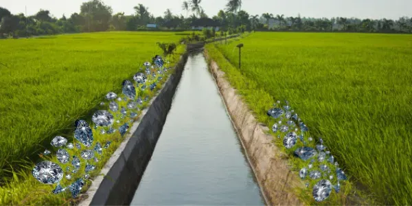 Hiro ka khet