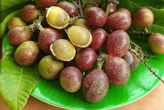 gambar buah asli Indonesia, matoa dari Papua