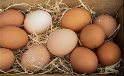 13 Incredible health benefits of Egg eating