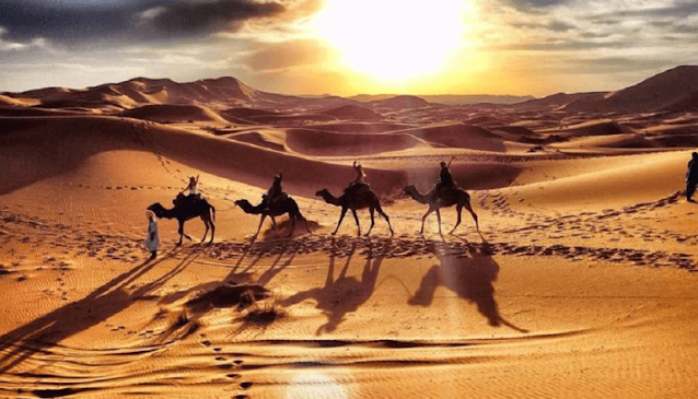 Dubai Desert Safari Offers