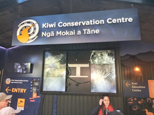 Kiwi Bird enclosure in Te Puia Rotorua Geothermal park.