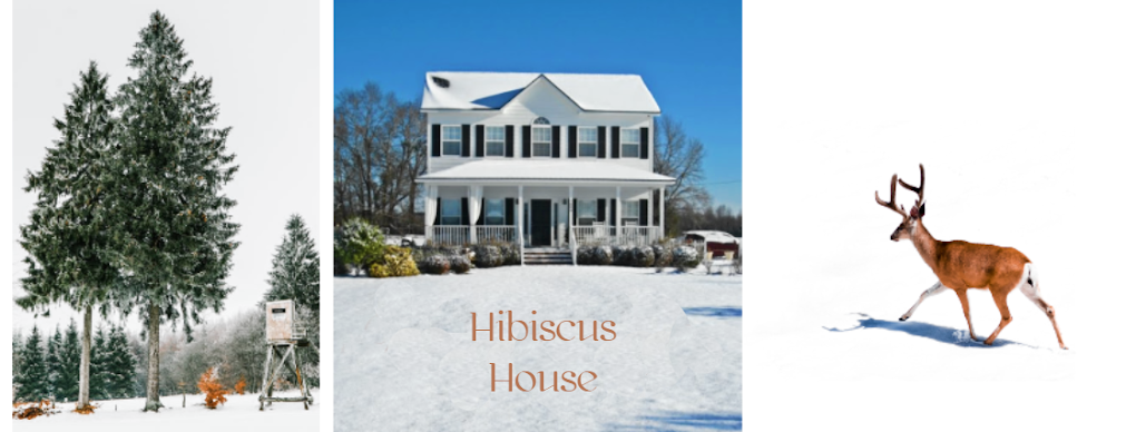 Hibiscus House